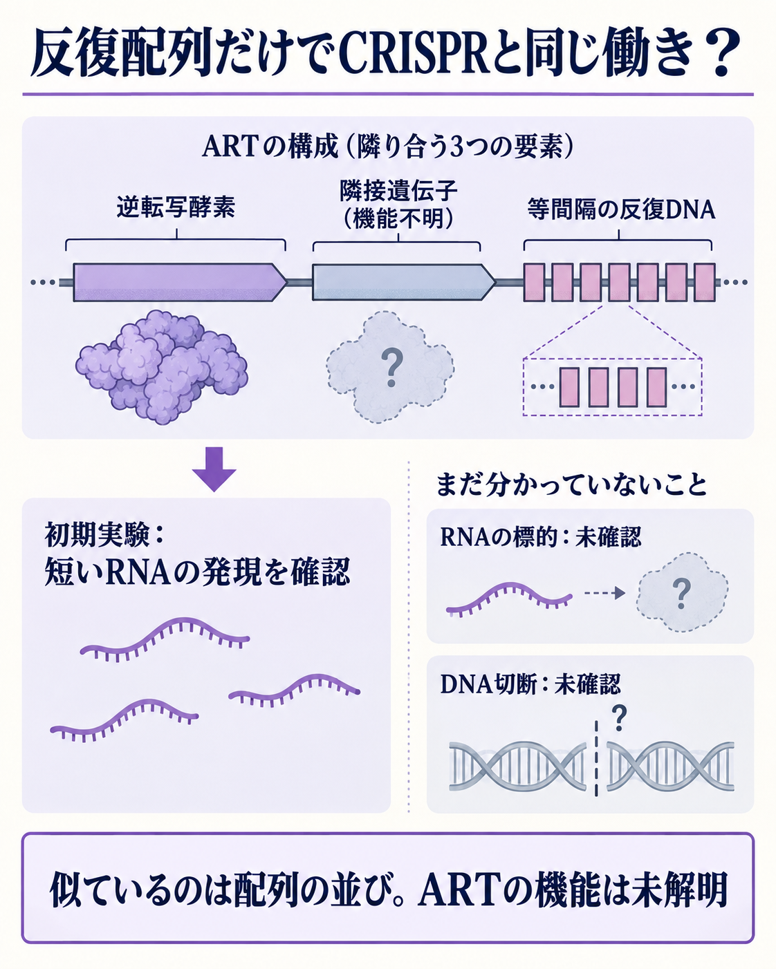反復配列があることとCRISPRと同じ働きを持つことを区別し、ARTの3要素と現在分かっている実験結果を示す構造図