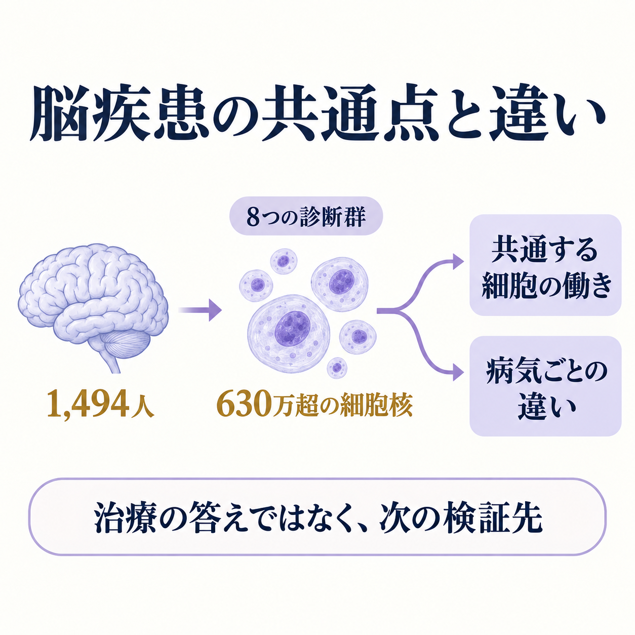 異なる脳疾患の細胞変化を共通部分と病気ごとの部分に分けて示す概要図