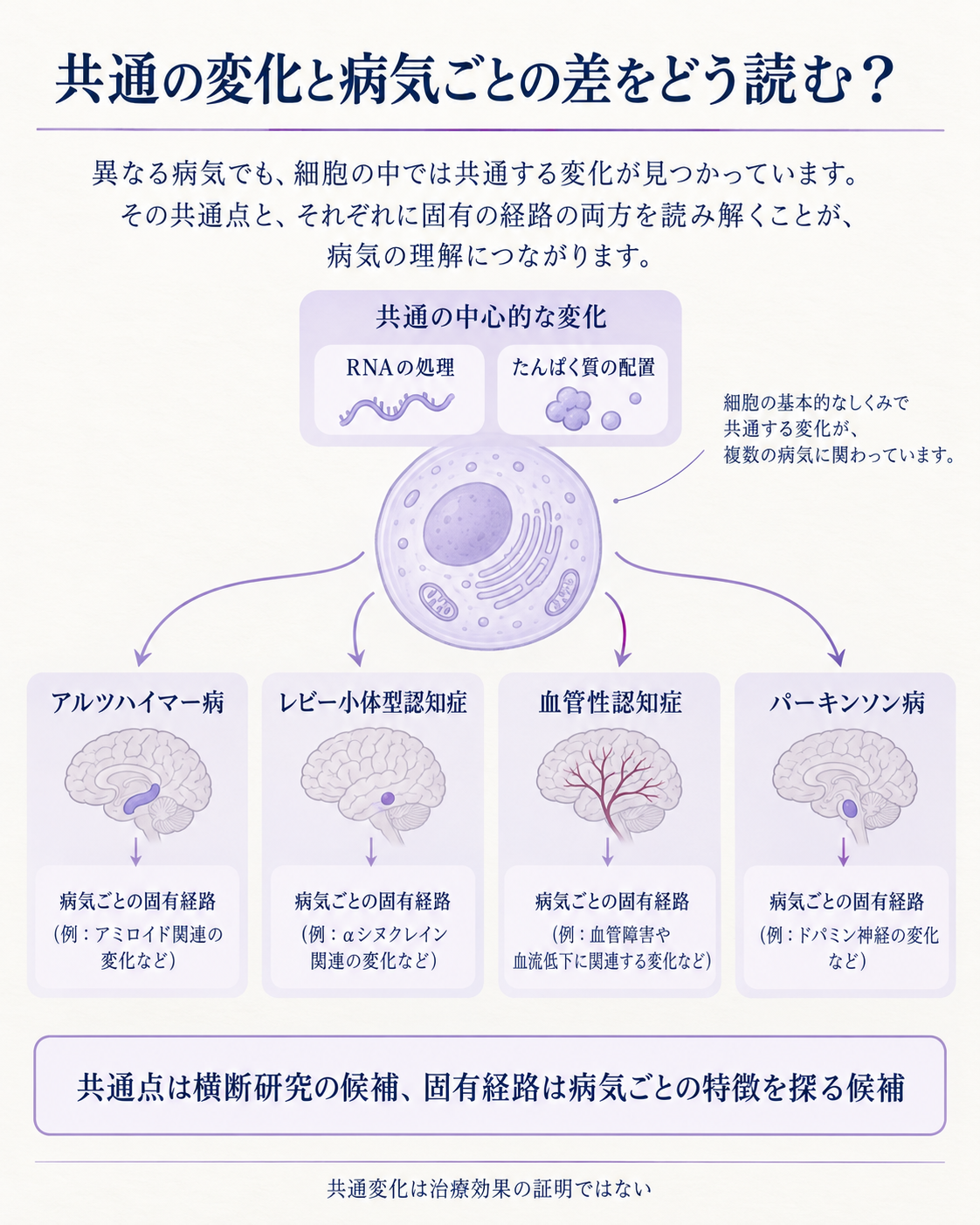 共通する細胞の働きと疾患ごとの変化を分けて示す比較図